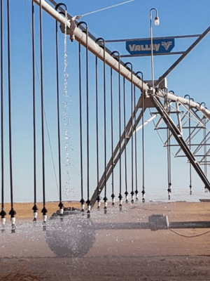 Design sans titre - 2026-01-19T114938.679